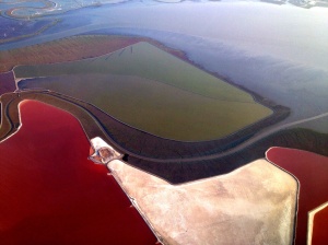 Salt Flats of San Francisco Bay: Photo by Noelle